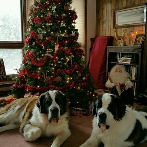 Meet your Posher, Bj